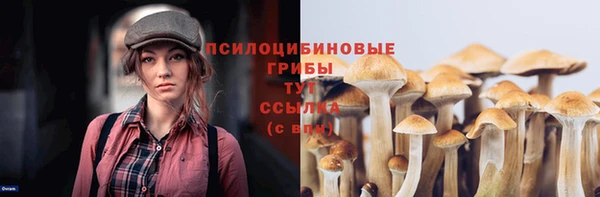 марки lsd Балахна