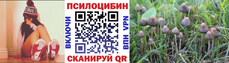 Галлюциногенные грибы Psilocybine cubensis даркнет сайт Трубчевск